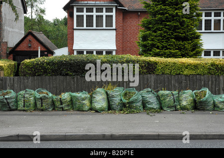 Les sacs de déchets de jardin vert collection attendent sur le trottoir en face d'une maison de banlieue avec une haie taillée à Birmingham UK Banque D'Images