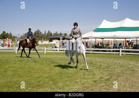 Cavaliers dans la hunter anneau volant au cours d'une compétition équestre au High Desert Classic un événement équestre et spectacle de chevaux Banque D'Images