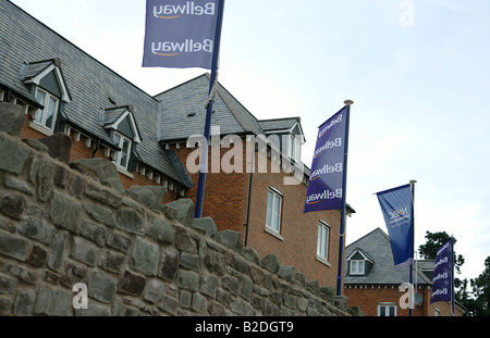 Newport South Wales GB UK 2008 Banque D'Images