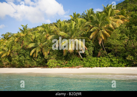 Cinnamon Bay St Johns US Virgin Islands Banque D'Images