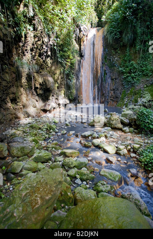 Cascade de Diamants Diamond Botanical Gardens et Cascade Soufrière Estate St Lucia Banque D'Images