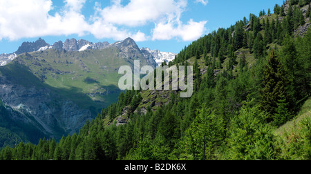 Paysage alpin, de chamois, de la vallée d'aoste, Italie. Banque D'Images