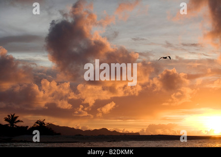 Coucher de soleil sur Tobago Cays Banque D'Images