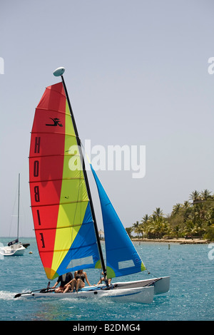 Un voile Hobie Cat Bitter End Virgin Gorda Îles Vierges Britanniques Banque D'Images