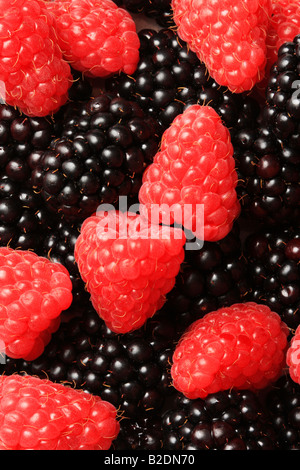 Un tas de framboises et mûres dans un bol tourné en studio Banque D'Images