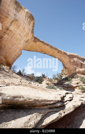 Owachomo Pont naturel en Utah USA Banque D'Images