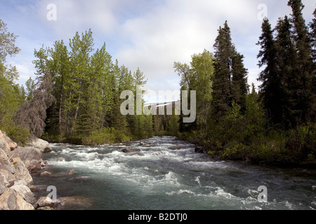 Rivière qui coule dans une rivière sauvage rock bed dans la nature sauvage de l'Alaska. Banque D'Images