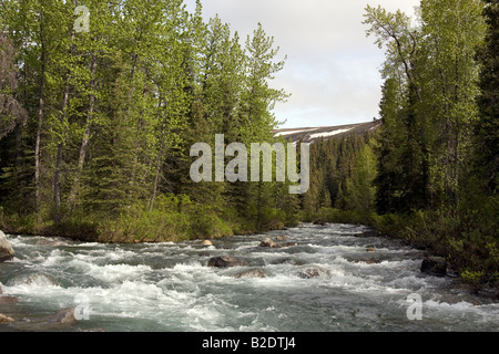 White water river couper son chemin si la nature sauvage de l'Alaska. Banque D'Images