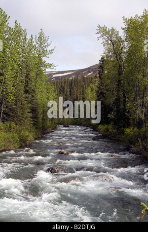 Rivière qui coule dans une rivière sauvage rock bed dans la nature sauvage de l'Alaska. Banque D'Images