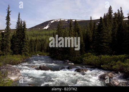 White water river running wild par Alaskan wilderness. Banque D'Images