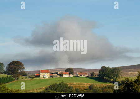Panache de fumée tourbillonnent jusqu'à la lande derrière une ferme en raison de la combustion de la bruyère dans le cadre de la gestion de l'habitat du tétras rouge Banque D'Images