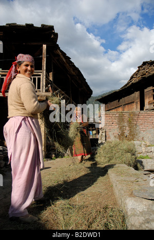 Les femmes dans le vieux Manali la réalisation de balles hors de l'herbe, d'être utilisé comme fourrage pour leur bétail durant les longs mois d'hiver. Banque D'Images