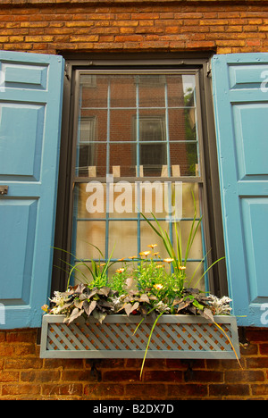 Elfreth's Alley fenêtre maison en brique rouge avec des volets bleus et une boîte à fleurs à Philadelphie, Pennsylvanie Banque D'Images