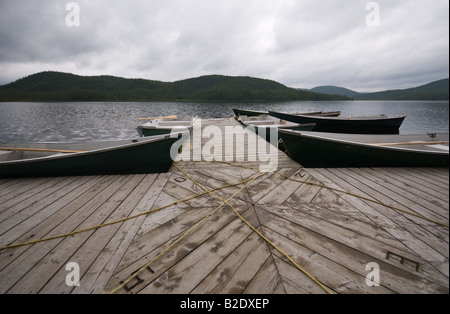 Prises au Parc National des Grands Jardins, Charlevoix Banque D'Images