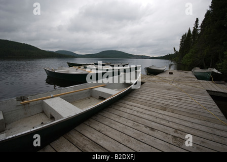 Prises au Parc National des Grands Jardins, Charlevoix Banque D'Images