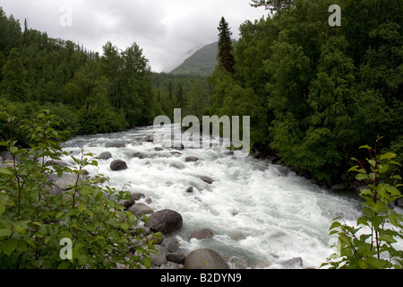 Rivière qui coule dans une rivière sauvage rock bed dans la nature sauvage de l'Alaska. Banque D'Images