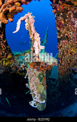 Un plongeur nage derrière l'hélice, sur le naufrage de l'Hilma Hooker, qui a coulé en 1984 au large de l'île de Bonaire dans les Caraïbes. Banque D'Images