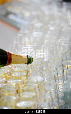 Des centaines de verres d'être rempli pour une réception au champagne. Photo par Jim Holden. Banque D'Images