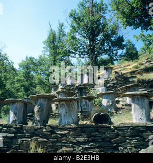 Ruches construites avec chestnut tree trunk et surmontées de lauze Ardèche France Banque D'Images