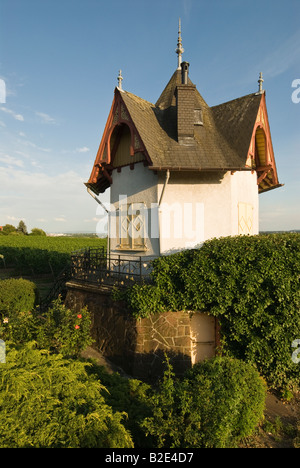 Soleil du soir sur un bâtiment dans un vignoble dans la région de Rheingau, en Allemagne. Banque D'Images