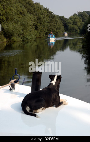 Day Cruiser Classic" sur la rivière Bure en amont de Wroxham, Broads National Park Banque D'Images