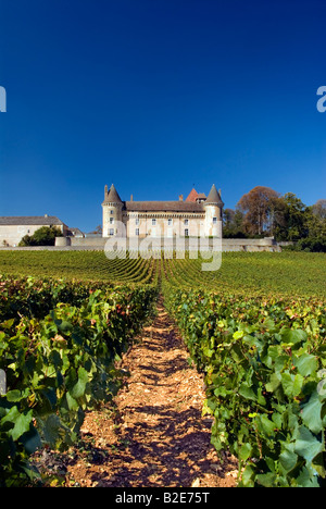 Château de Rully avec vignoble de Antonin Rodet, Rully, Saône-et-Loire, Côte Chalonnaise, France. Banque D'Images