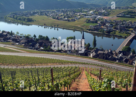 Vue aérienne de maisons de ville, Piesport, Moselle, Rhénanie-Palatinat, Allemagne Banque D'Images