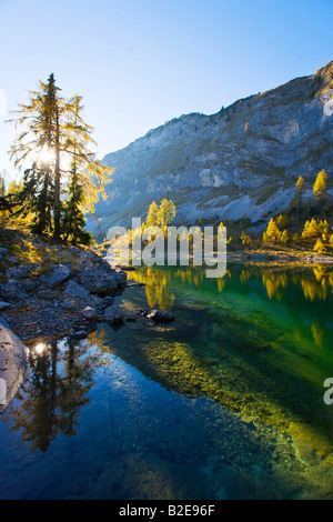 Reflet des arbres dans l'eau, l'Lahngangsee Ausseer Vorderer, terres, Totes Gebirge, Salzkammergut, Autriche Banque D'Images