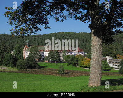 Les arbres en face de l'hôtel, Friedenweiler, Forêt-Noire, Bade-Wurtemberg, Allemagne Banque D'Images