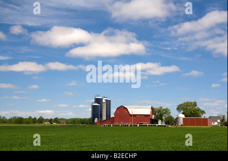 Ferme entourée de blés verts à St Louis au Michigan Banque D'Images