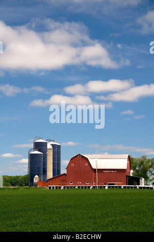 Ferme entourée de blés verts à St Louis au Michigan Banque D'Images