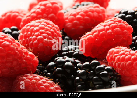 Les framboises rouges et de mûres dans un bol d'éclairage derrière pour créer un contraste élevé pour les grands concepts de fraîcheur et dess Banque D'Images