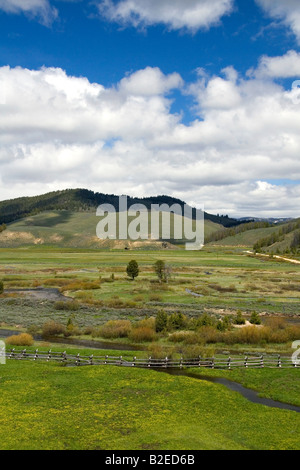 La vallée du ruisseau de près de Stanley Idaho Banque D'Images