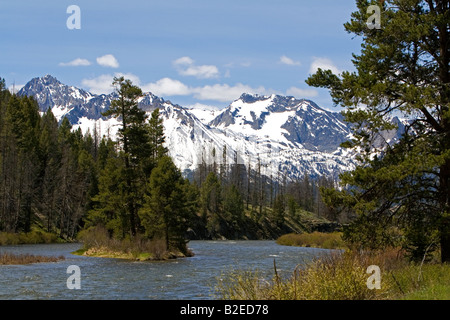 La rivière Salmon coulant au-dessous de la gamme de montagne de scie près de Stanley Idaho Banque D'Images