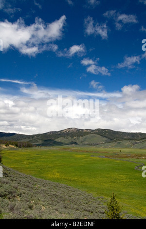 La vallée du ruisseau de près de Stanley Idaho Banque D'Images