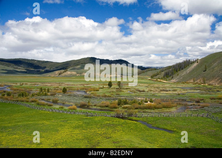 La vallée du ruisseau de près de Stanley Idaho Banque D'Images