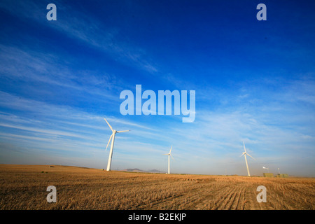 Éoliennes contre un ciel bleu zébré de cloud Banque D'Images