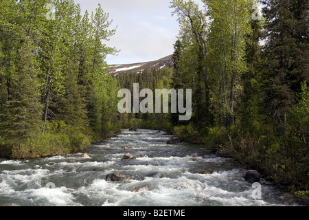 White water river en liberté dans les régions sauvages de l'Alaska. Banque D'Images