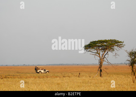 Les touristes sur un véhicule de jeu ouvert sur Safari sur les plaines du Serengeti Banque D'Images