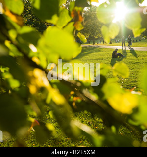 Les gens se détendre dans la soirée d'automne du soleil de St James Park London England UK Banque D'Images