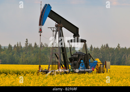 Un tir d'une huile pumpjack Banque D'Images