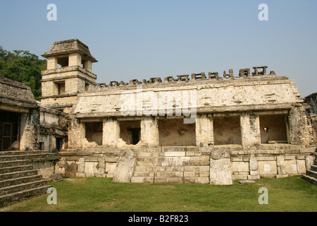 Cour intérieure du palais avec des reliefs en pierre sur les murs, Site archéologique de Palenque, l'État du Chiapas, Mexique Banque D'Images