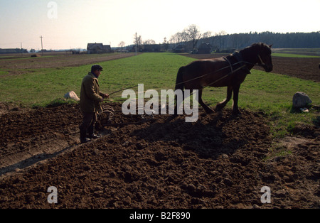 Un agriculteur laboure son champ avec un cheval traditionnel au cours de timon les semis de printemps. Banque D'Images