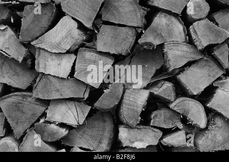Une photo en noir et blanc de cordes de bois dans un champ pays, pour le chauffage pendant les mois d'hiver. Un joli économiseur d'écran. Banque D'Images