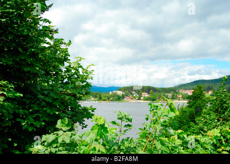 Schluchsee a le plus grand lac dans la Forêt Noire, sept kilomètres de long 14 kilomètres de large et 61 mètres de profondeur c'est un artifi Banque D'Images