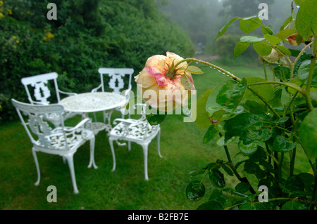 Gouttelettes sur une Charlotte rose fleur et table et chaises de jardin en été la pluie Banque D'Images