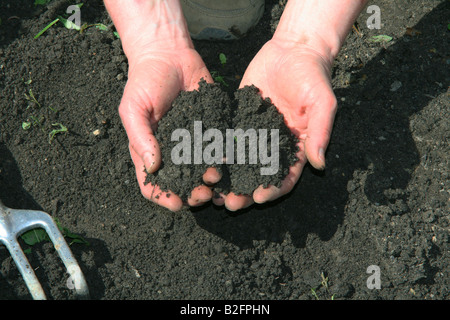 Poignée de terre de jardin organique noir USA Banque D'Images