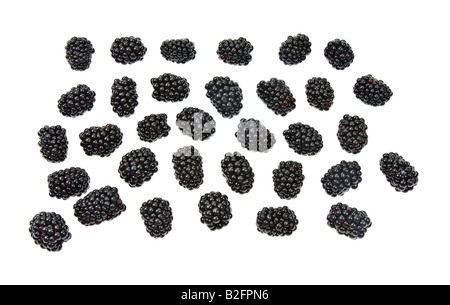 Fruits Rubas blackberry Brombeere dewberry baies noires de boysen frais marionberry sur fond blanc Banque D'Images