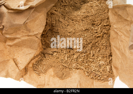 Le kava kava de Southsea POUDRE Kawa Piper methysticum Rauschpfeffer de racines de plantes médicinales racine hachkled Banque D'Images