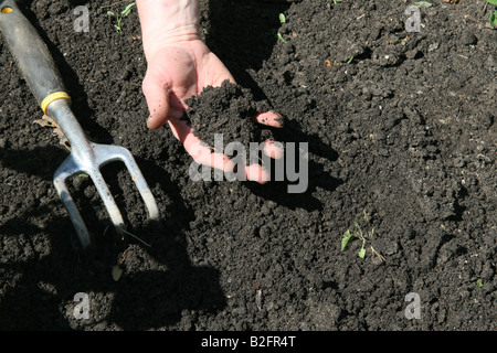 Poignée de terre de jardin organique noir USA Banque D'Images